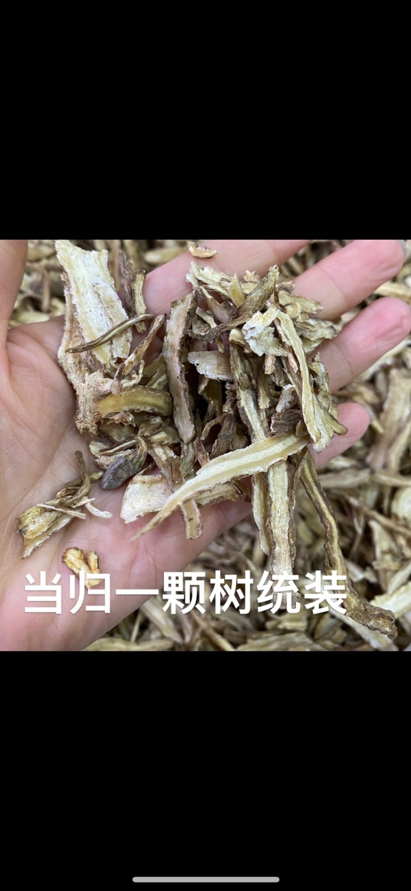 当归当归片当归头片当归腿片当归下料各种规格供应