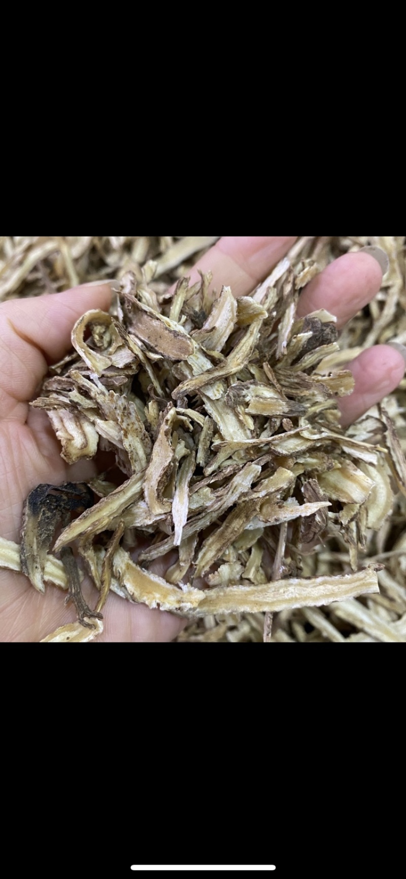 当归当归片当归头片当归腿片当归下料各种规格供应