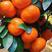 广西沙糖桔次果，清园果大量上市，广西产区专业水果代办代发