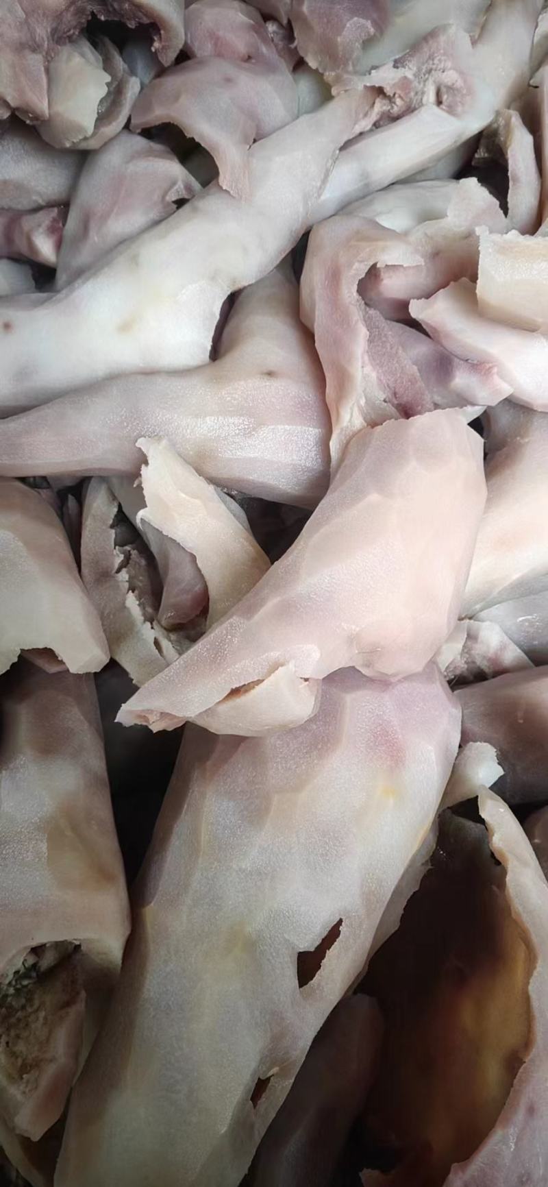 牛油羊油驴油马油骆驼油