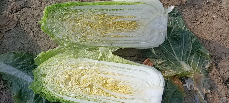 大量北京新三号