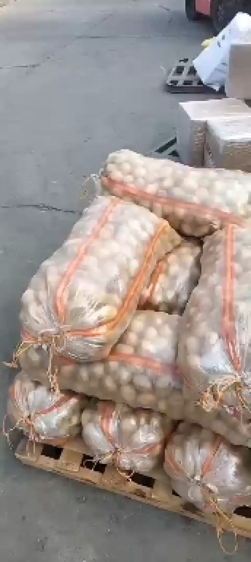 土豆种子公司总部基地，销售部，需要的土豆种子的客户联系我