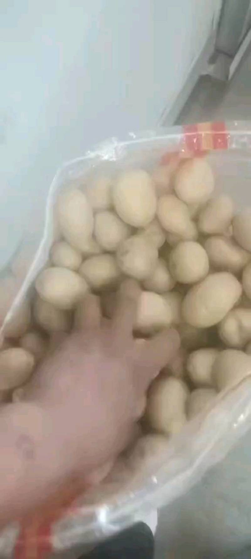 土豆种子公司总部基地，销售部，需要的土豆种子的客户联系我