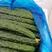 密刺黄瓜大量上市条形直产地直发质优价廉