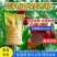 【开胃】牛羊开胃宝饲料高蛋白代替玉米麸皮消食促进营养育肥