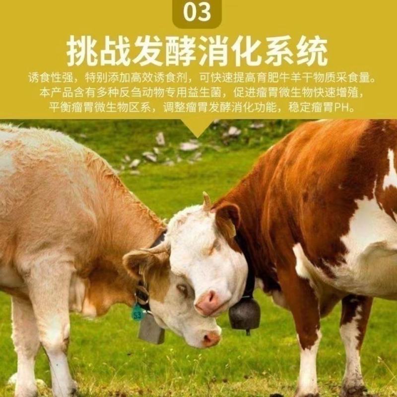 【开胃】牛羊开胃宝饲料高蛋白代替玉米麸皮消食促进营养育肥