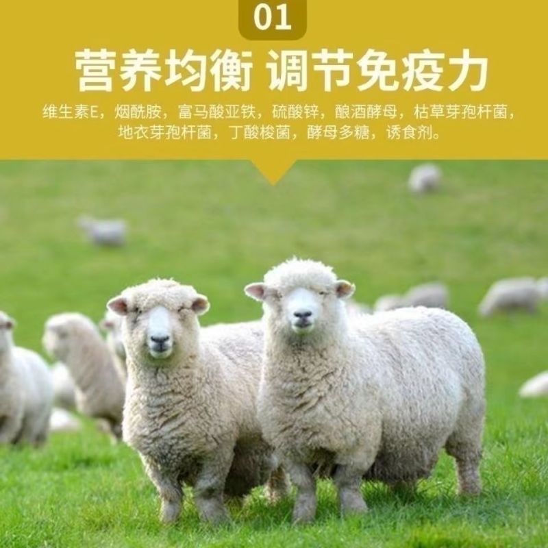 【开胃】牛羊开胃宝饲料高蛋白代替玉米麸皮消食促进营养育肥
