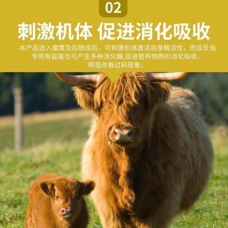【开胃】牛羊开胃宝饲料高蛋白代替玉米麸皮消食促进营养育肥