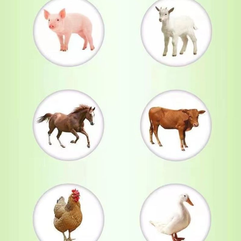 山楂兽用益生菌健胃促消化牛羊猪用增重猛长鸡鸭鹅饲料添加剂
