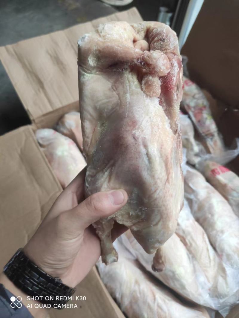 白条鸭950克