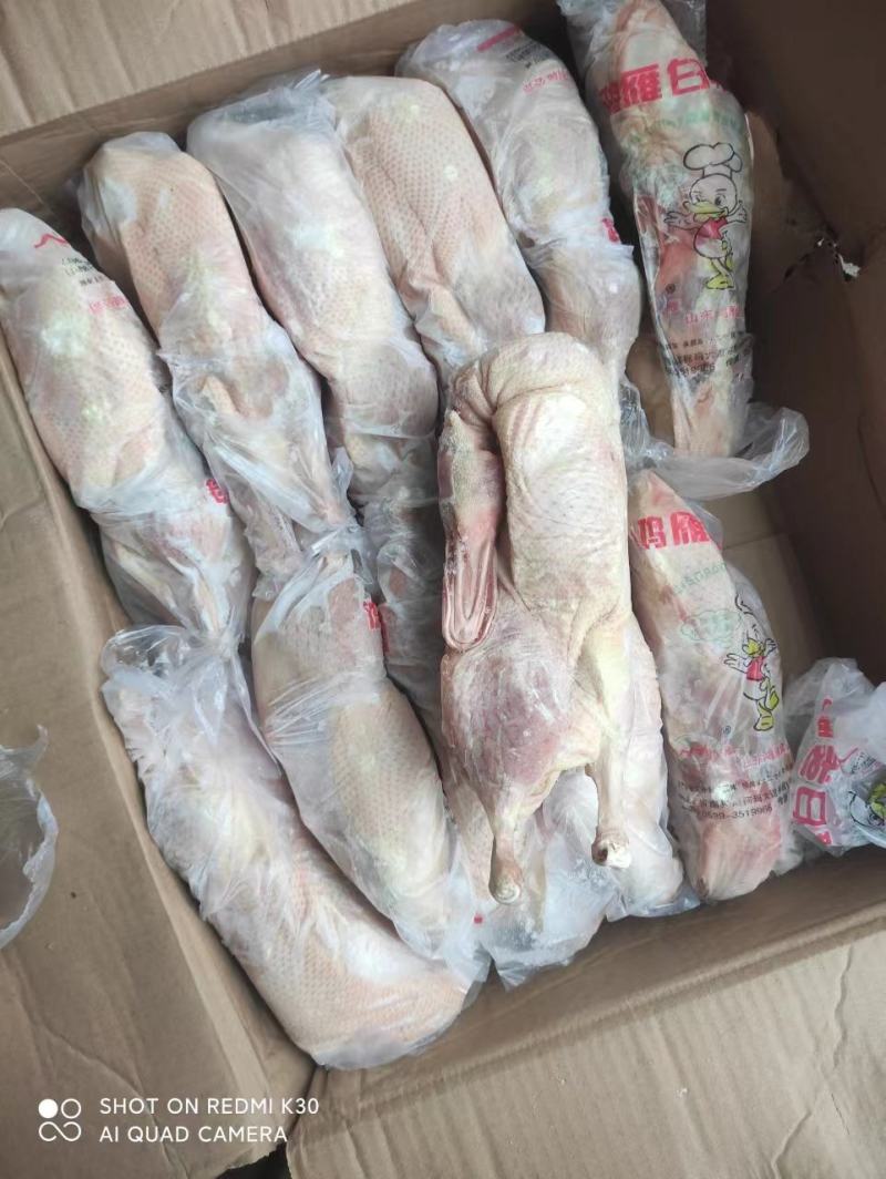 白条鸭950克