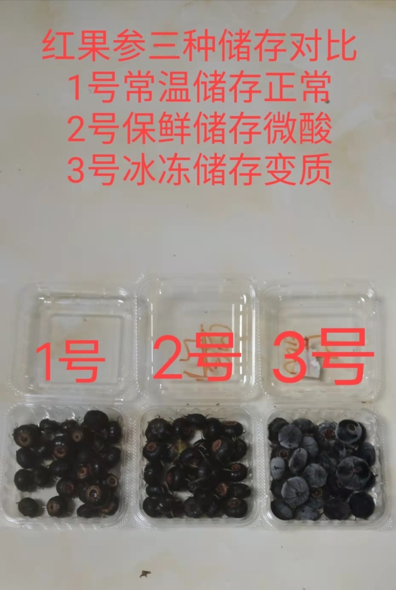 云南红果参基地对接一件代发，商超，达人，按需发货
