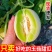 海南甜瓜/玉姑甜瓜/甜瓜全国发货