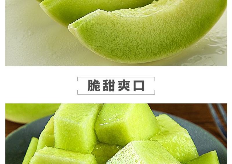 海南甜瓜/玉姑甜瓜/甜瓜全国发货