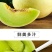海南甜瓜/玉姑甜瓜/甜瓜全国发货