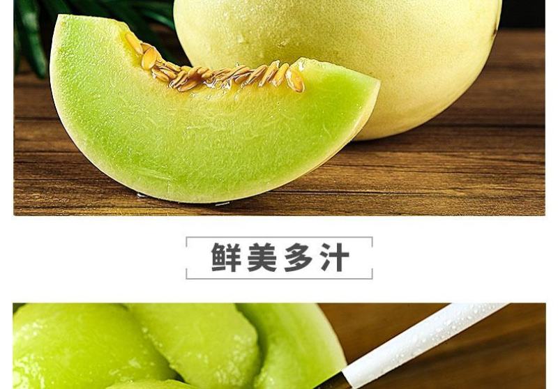 海南甜瓜/玉姑甜瓜/甜瓜全国发货