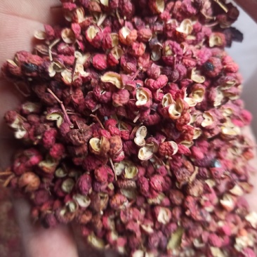 太行山高山大红袍花椒，一手货源，品质保证，欢迎咨询订购