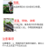 酶解鱼蛋白1升装氨基酸叶面肥防小叶黄叶僵苗生根肥