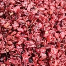 山萸肉又名枣皮国产货足干新货颜色红500克一包10公斤包