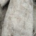 深山纯野生葛根