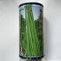 海迈泰丰19豇豆种子翠绿色品种