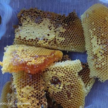 土蜂蜜，百花蜜，一手货源，一件代发，如假包换，