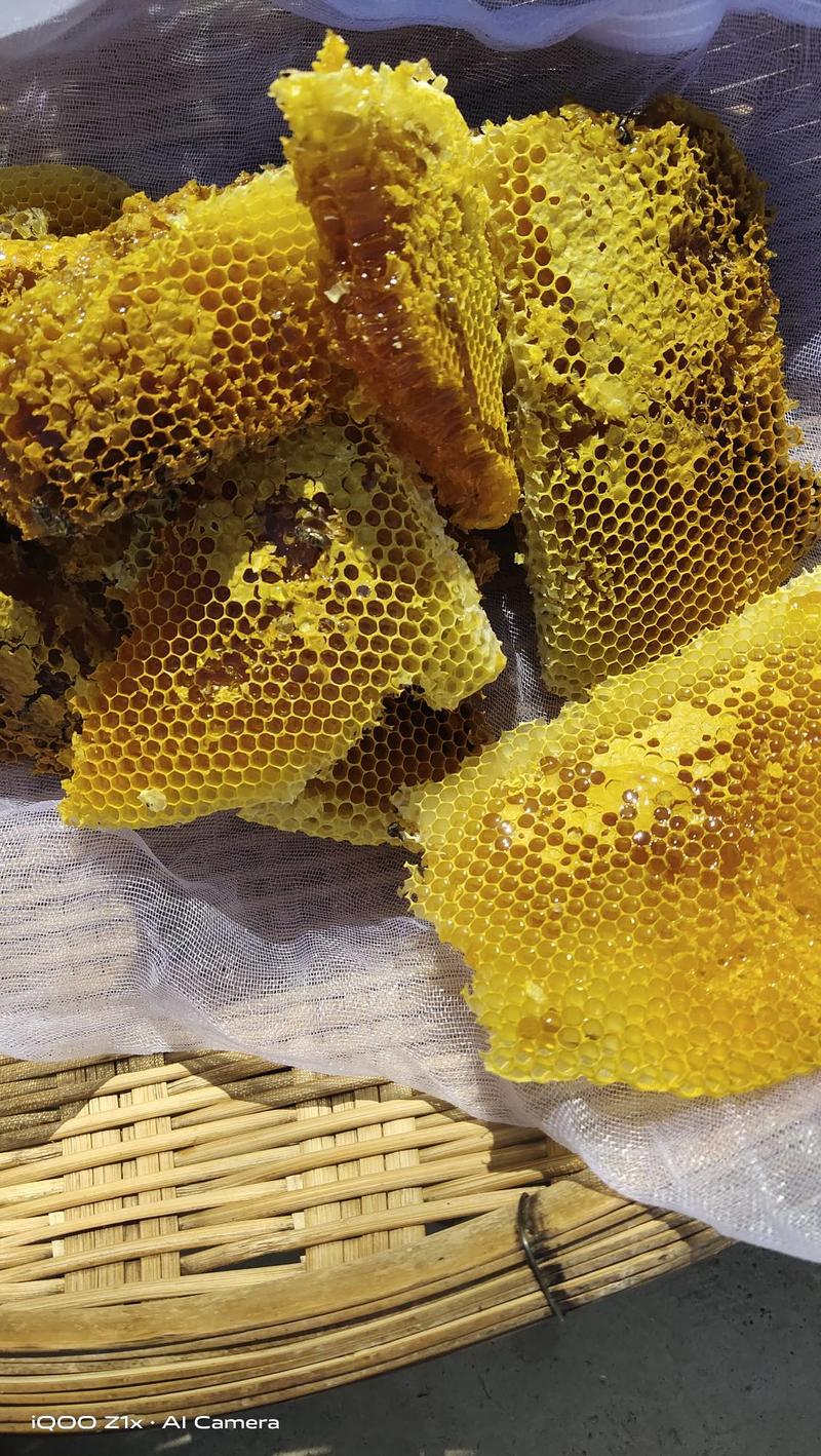 土蜂蜜，百花蜜，一手货源，一件代发，如假包换，