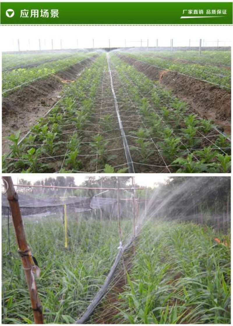 微喷带，喷灌带，厂家直发，减少病虫害，水肥一体化