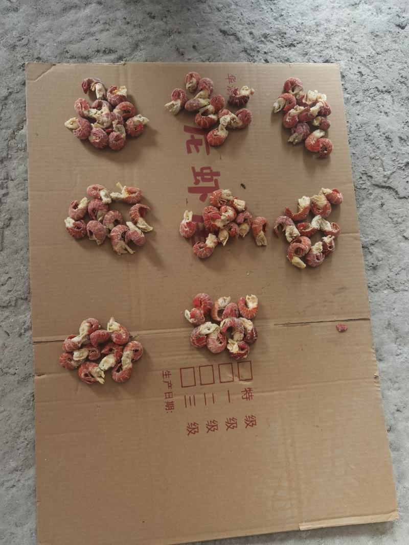 液氮锁鲜品质保证龙虾尾整肢虾大量有售
