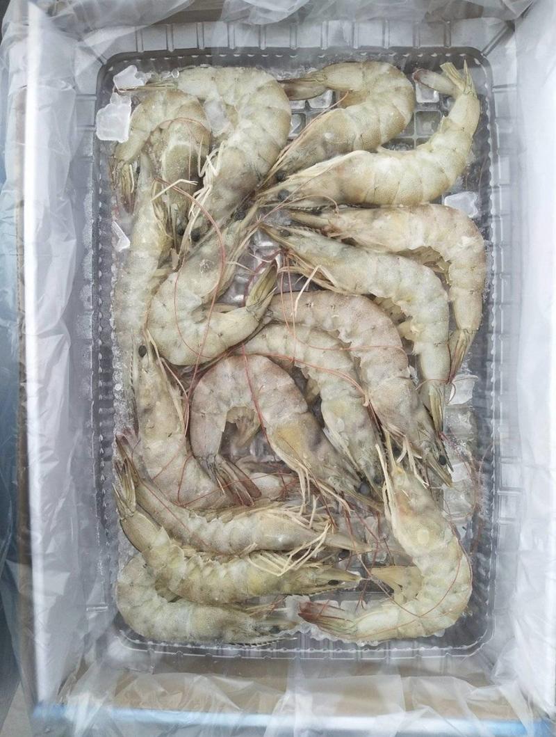 鲜活速冻大虾礼盒装4斤，一盘一斤，共4盘