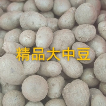 精品白玉山药豆,白玉山药适合育苗,电商欢迎来电咨询