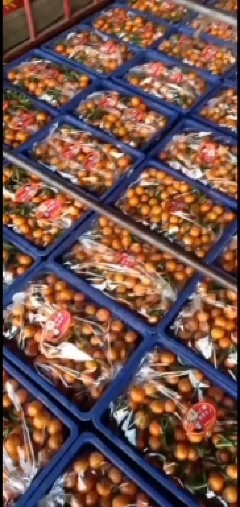 精品框装精装的砂糖橘