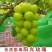 阳光玫瑰葡萄苗正宗嫁接苗5bb夏黑3309品种很多