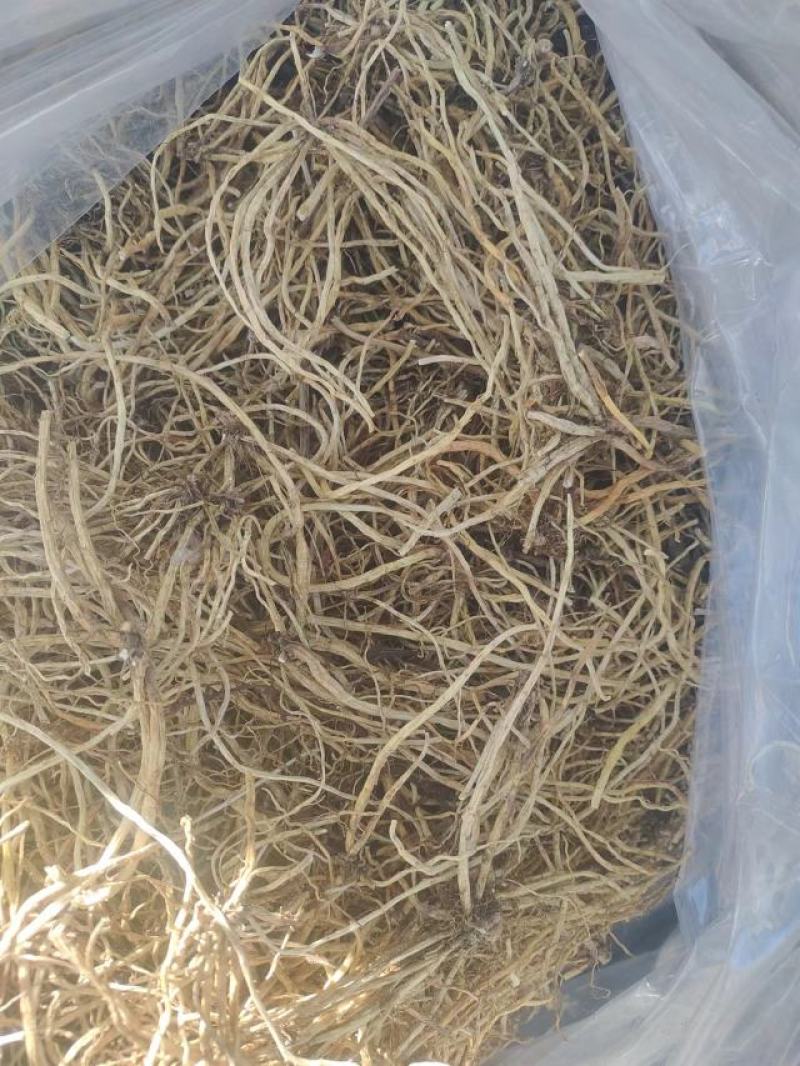 清原龙胆草统货，诚信经营，量大从优，欢迎来电