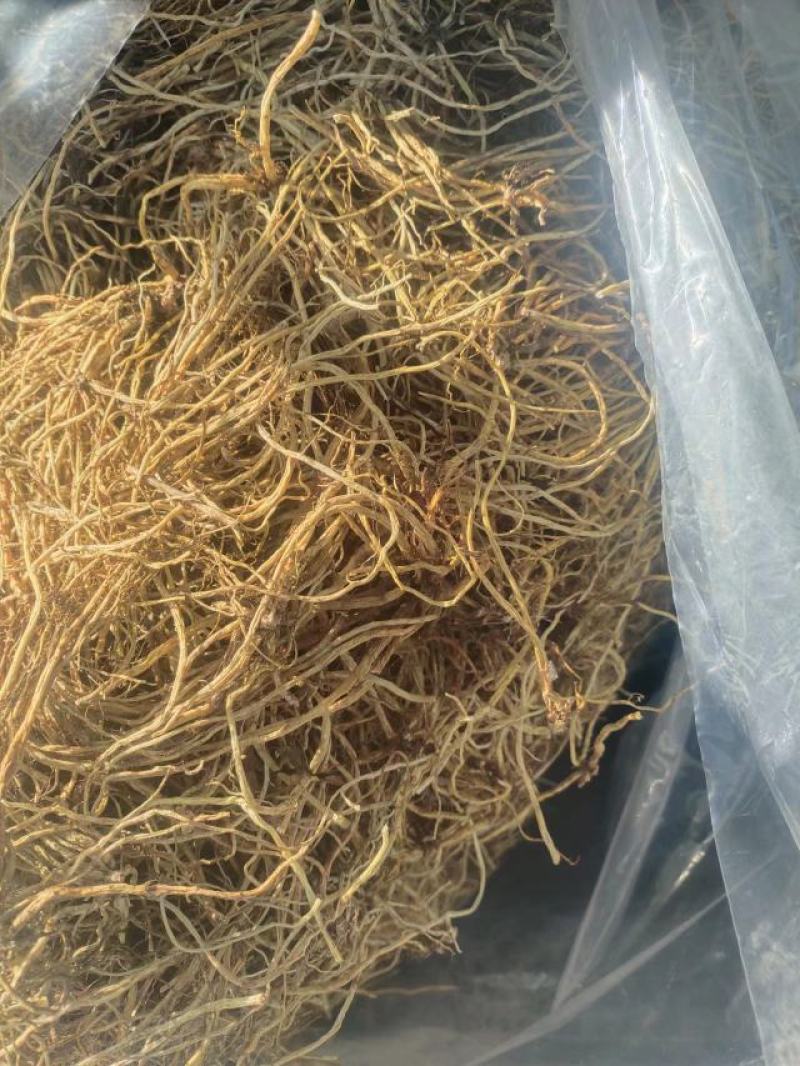 清原龙胆草统货，诚信经营，量大从优，欢迎来电