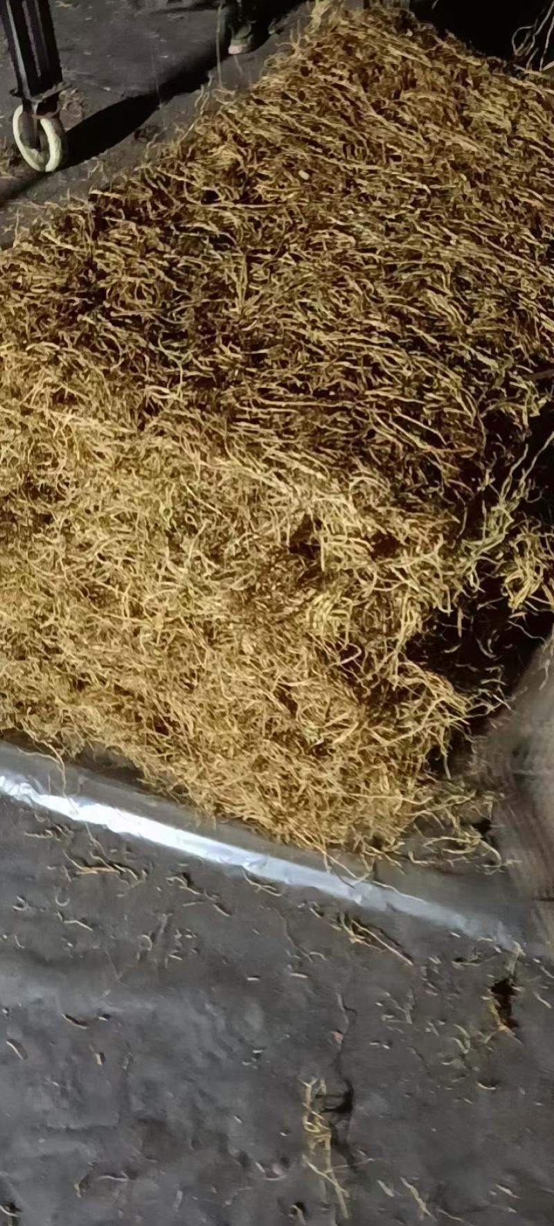 清原龙胆草统货，诚信经营，量大从优，欢迎来电