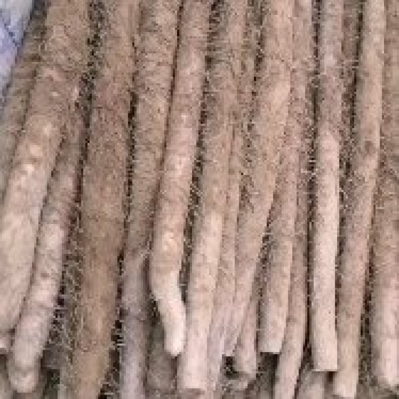 网袋货！精品咕噜大量有货