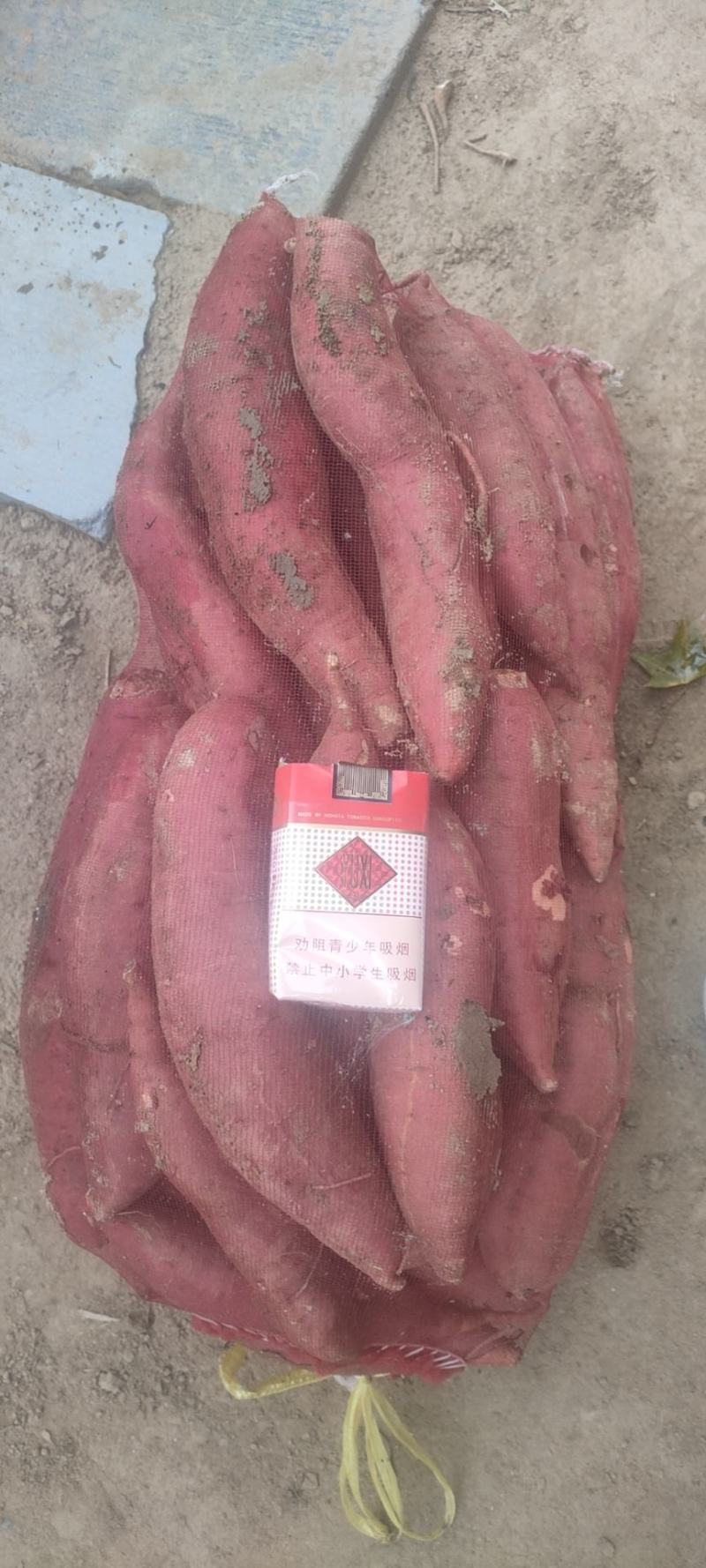西瓜红红薯，品种纯正，大众化蜜薯，用途广泛，得大众化好评