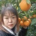 【精选】秭归脐橙纽荷尔脐橙田头直发找车洗果一条龙