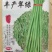 早熟豇豆种子丰产翠绿耐热耐低温肉厚油绿长豆角春夏秋豇豆种