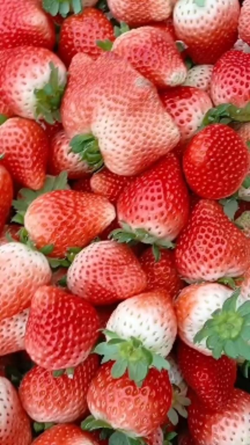 小草莓，价格偏宜，天仙醉奶油草莓，产地发货，代收代发