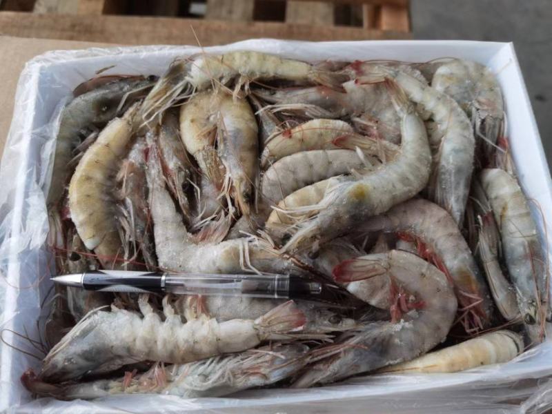 【促销活动】进口盐冻盒装虾一手货源1.5kg*6盒/箱