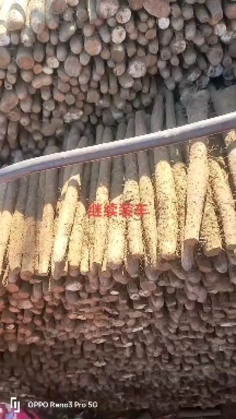 山药大量出土上市，各种货源充足，交通方便，质量好价格优