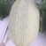 哈蜜瓜口口脆