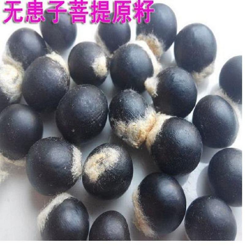 无患子，无患子皮，无患子种子，圆皂角，油皂角油患子肥皂果