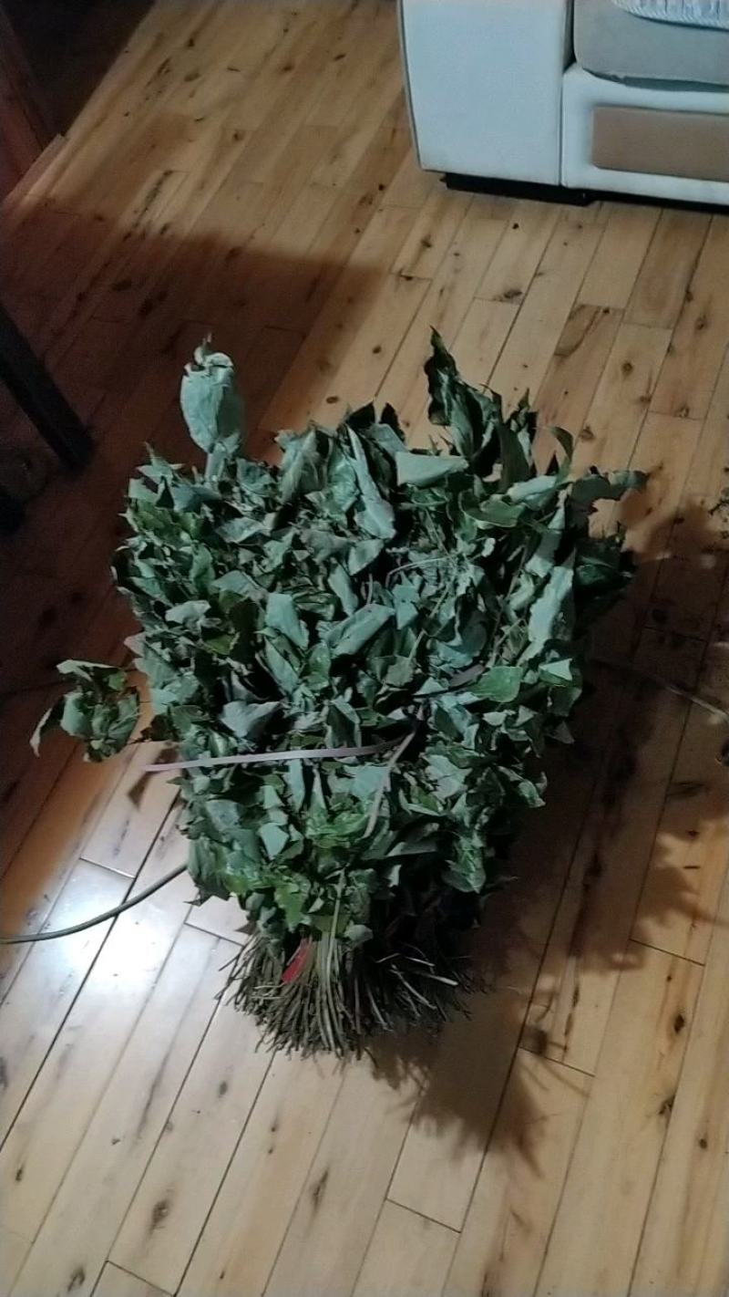 贵州铜仁野生中药材淫羊藿茎叶干货羊角叶产地直发仙灵脾干品