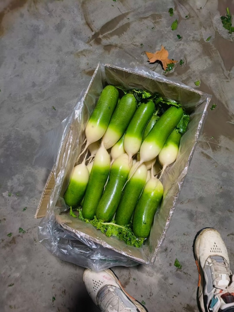 需要的朋友可以联系我