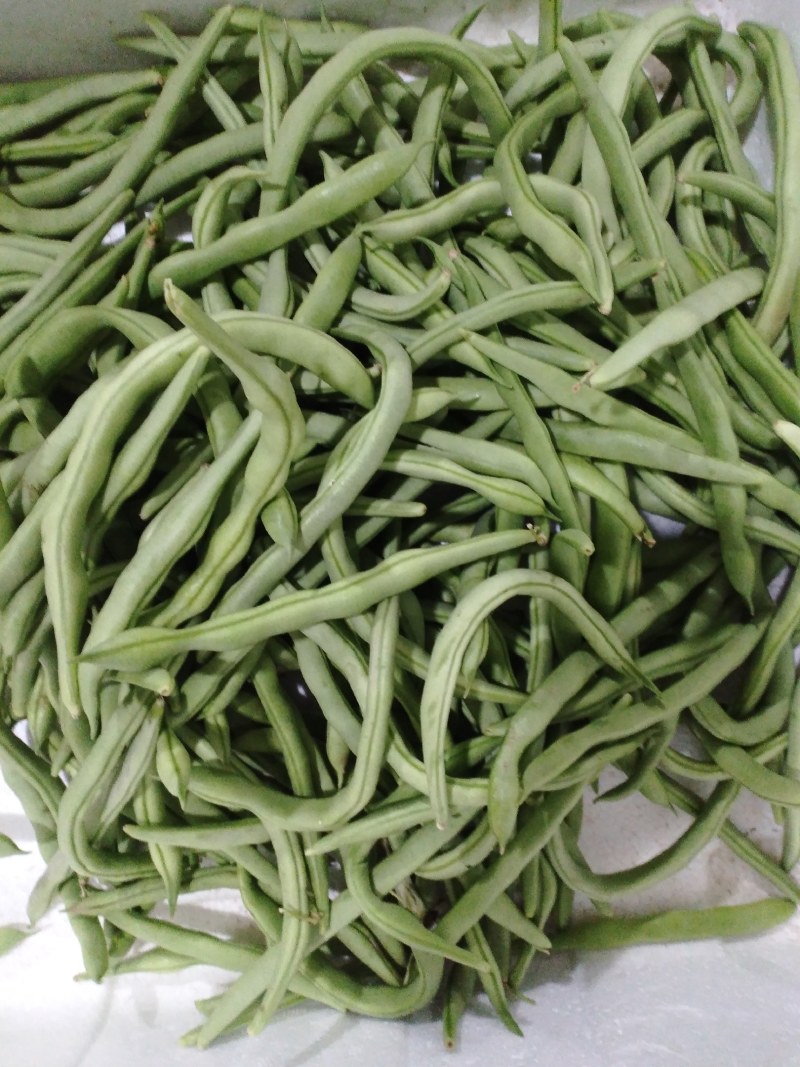 四季豆电商货
