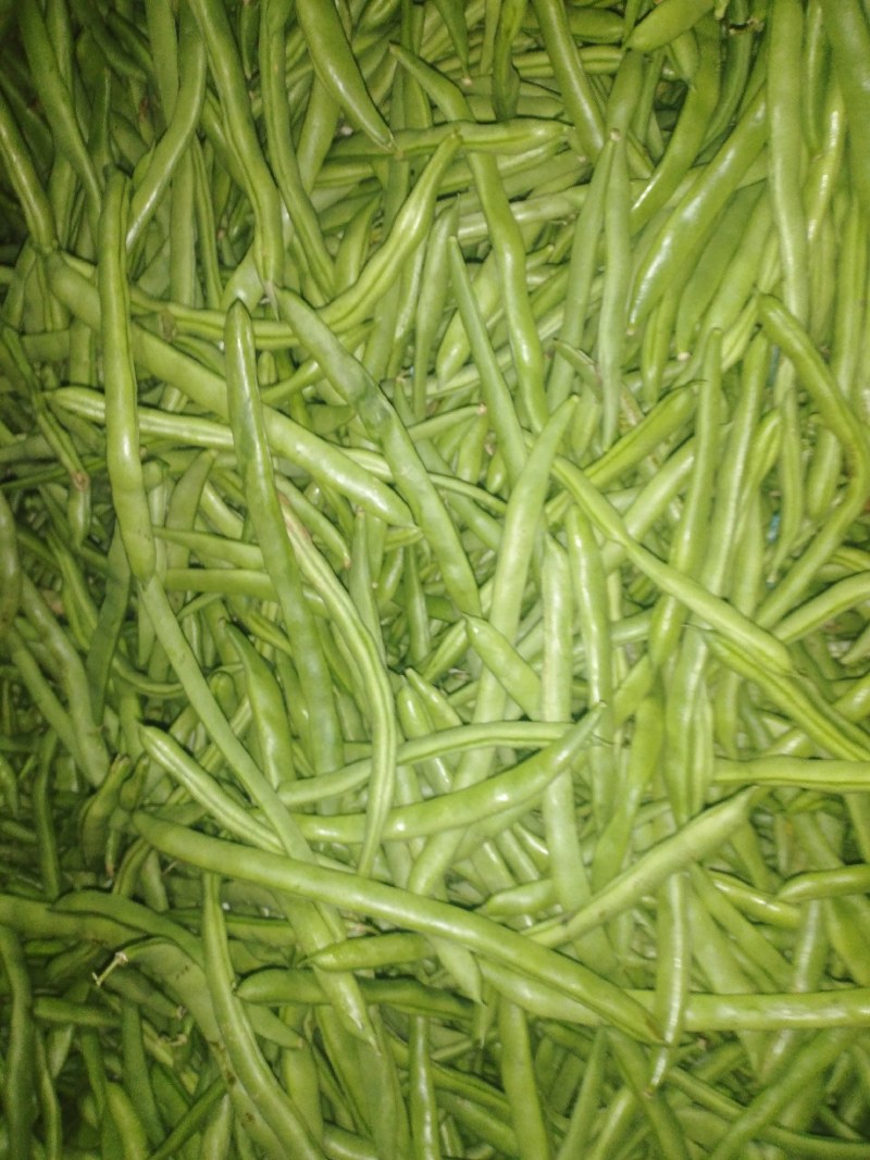 四季豆电商货