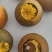 罗浮山金丝皇菊系列产品